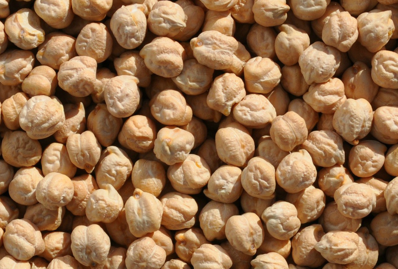 Garbanzo Beans (Chickpeas)